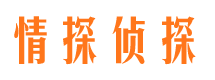 汤旺河市调查取证